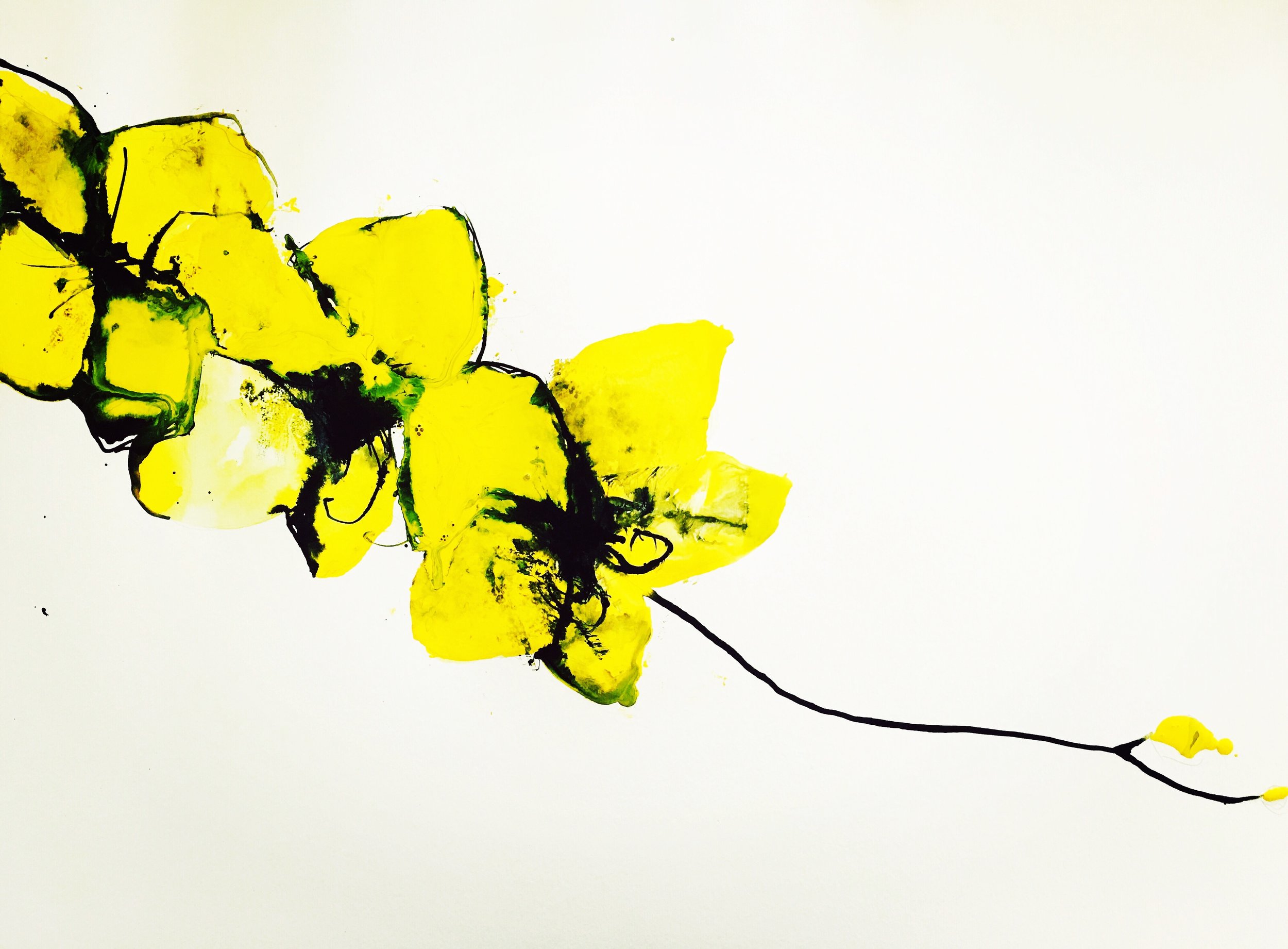 yellow orchid 2