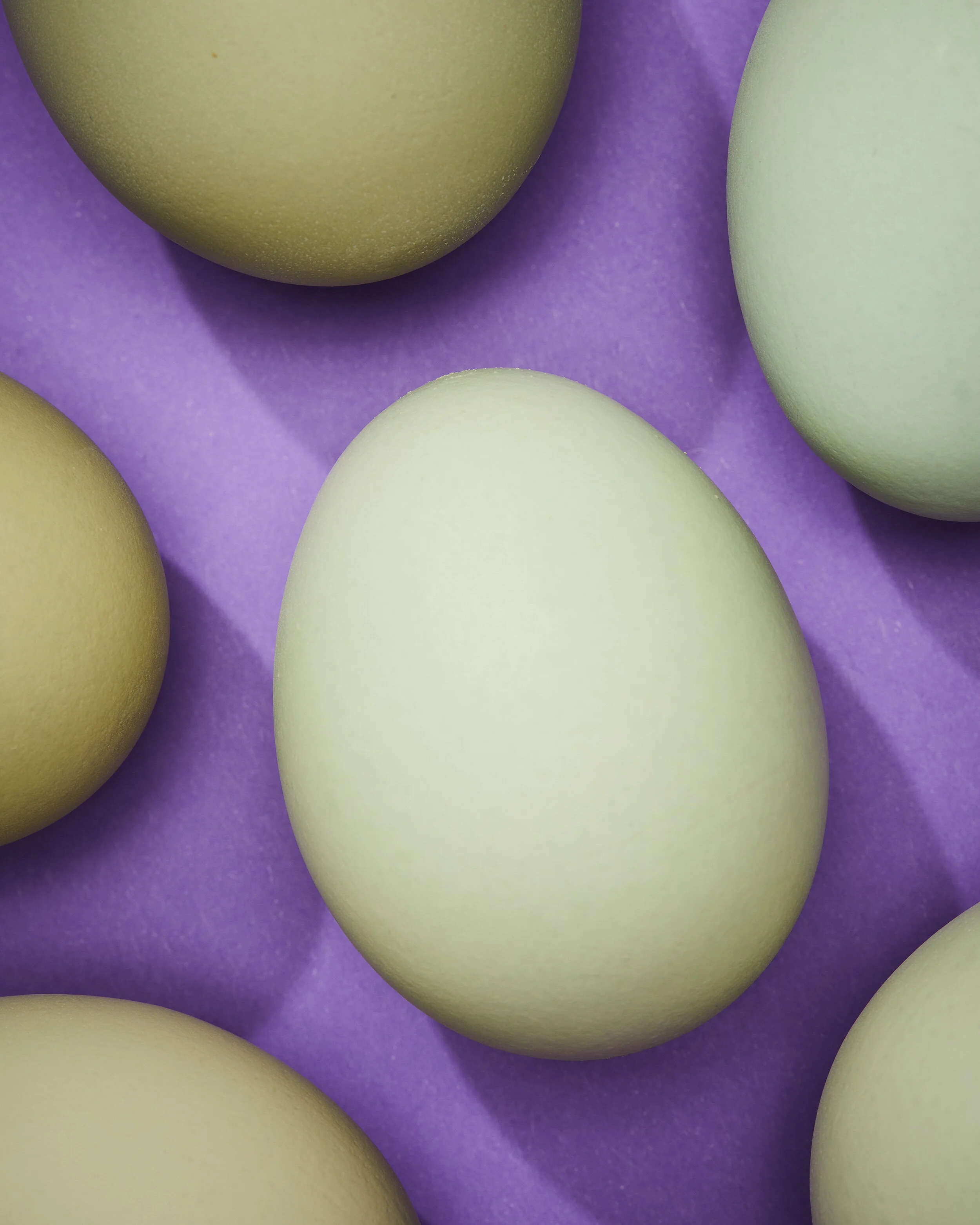 still-life-test_2-_CRCF0667.jpg