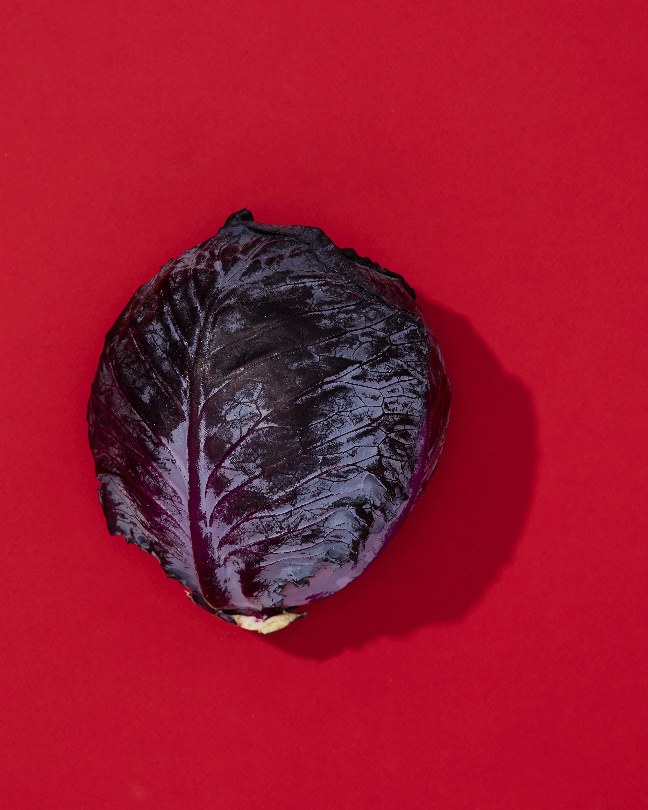 still-life-at-home0845.jpg