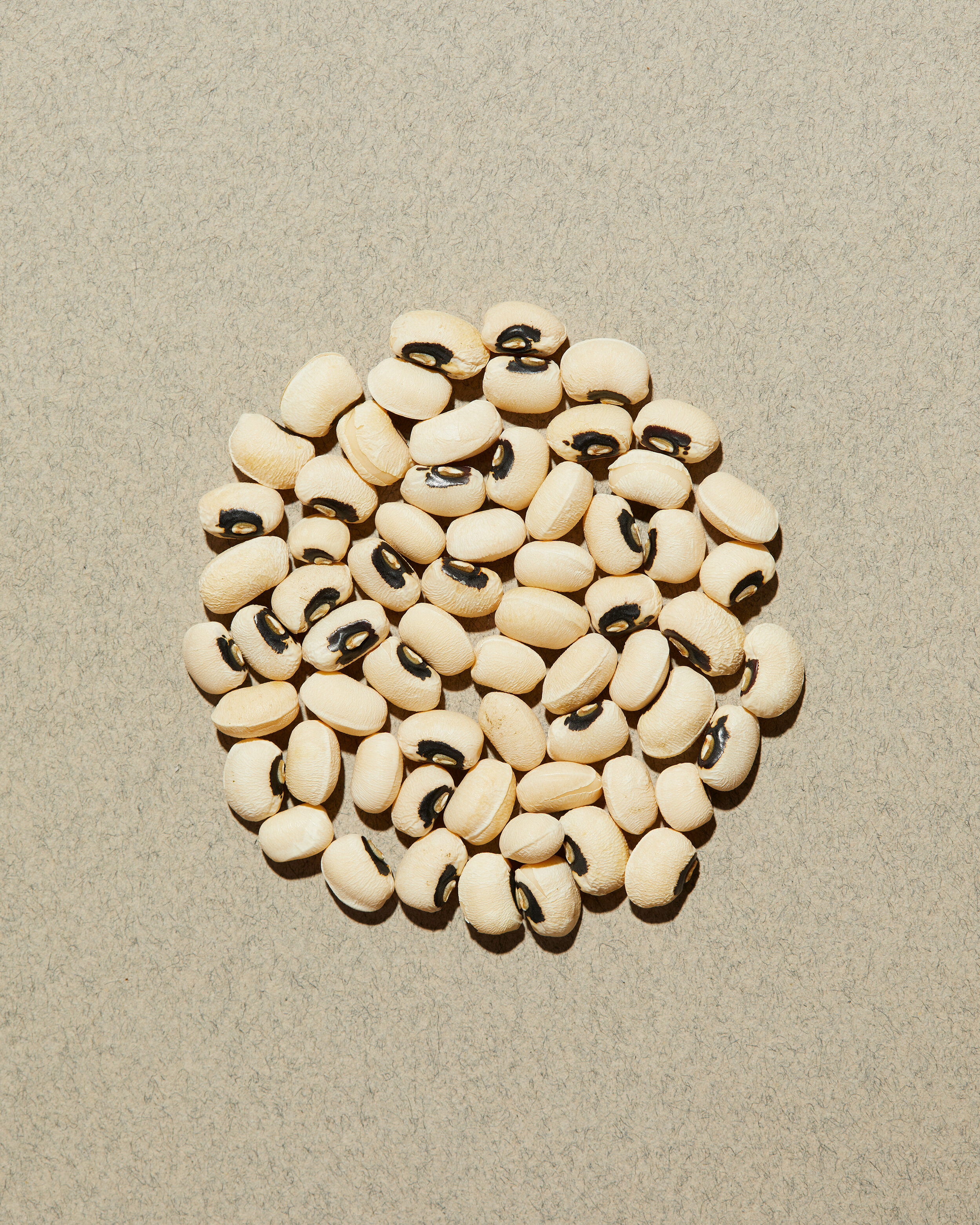 still-life-at-home0994.jpg