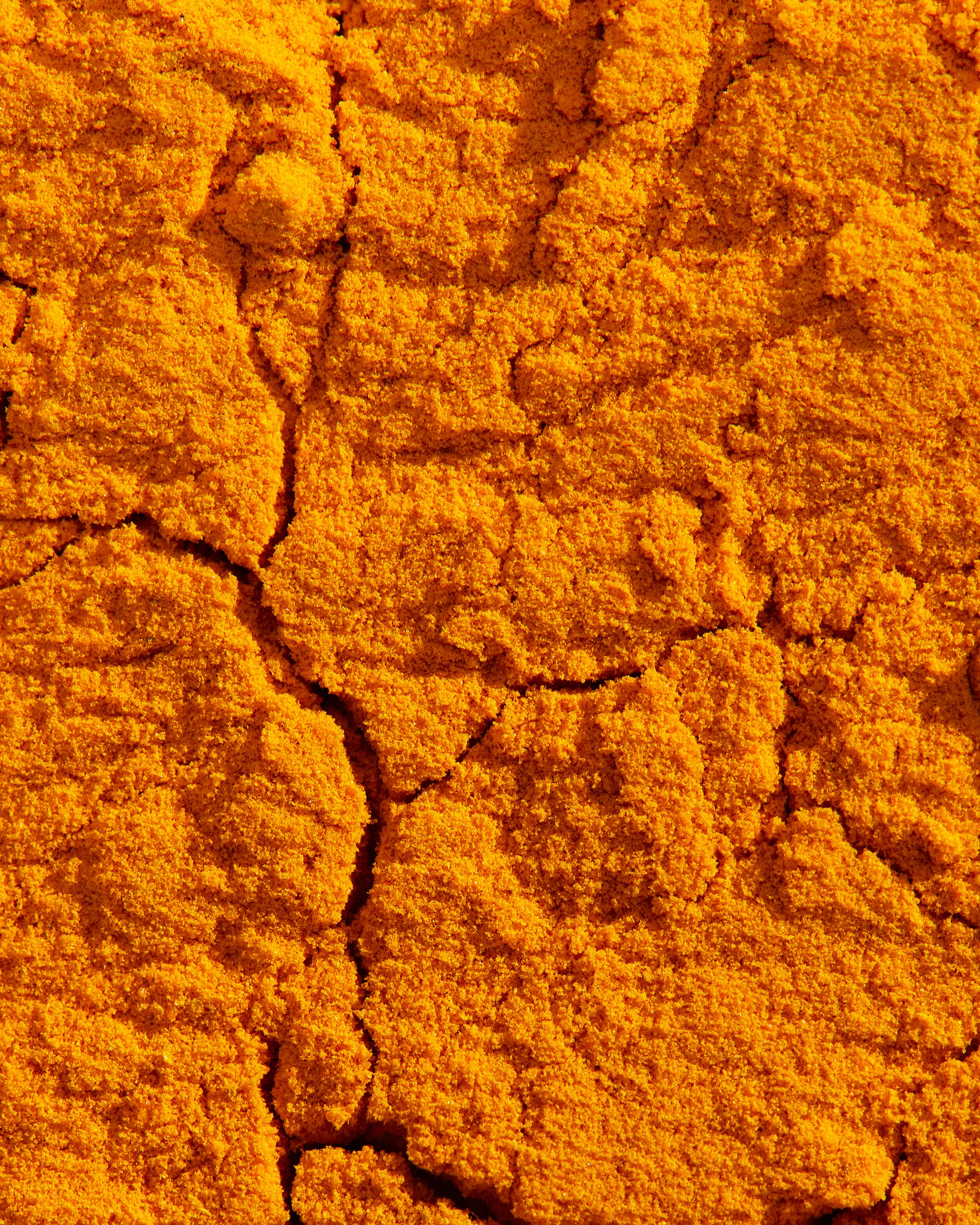 still-life-herbs_31240.jpg
