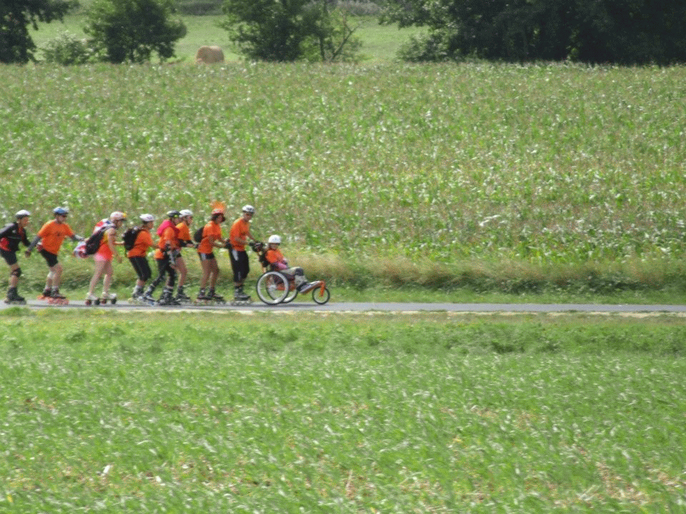 cycle path.gif