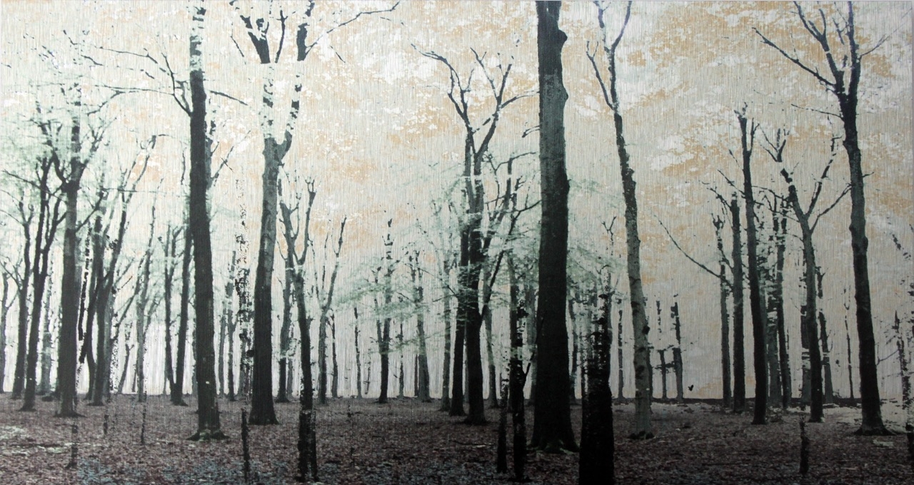 'Utrechtse Heuvelrug' (1/10) Flatbed Print on Brushed Aluminium 22cm x 40cm 2015 £495