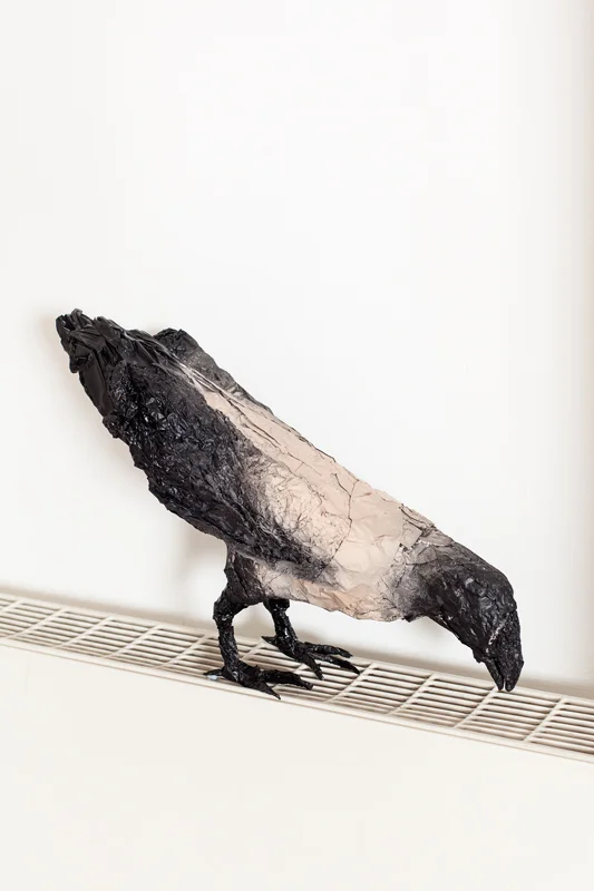Birds. Crow 1.jpg