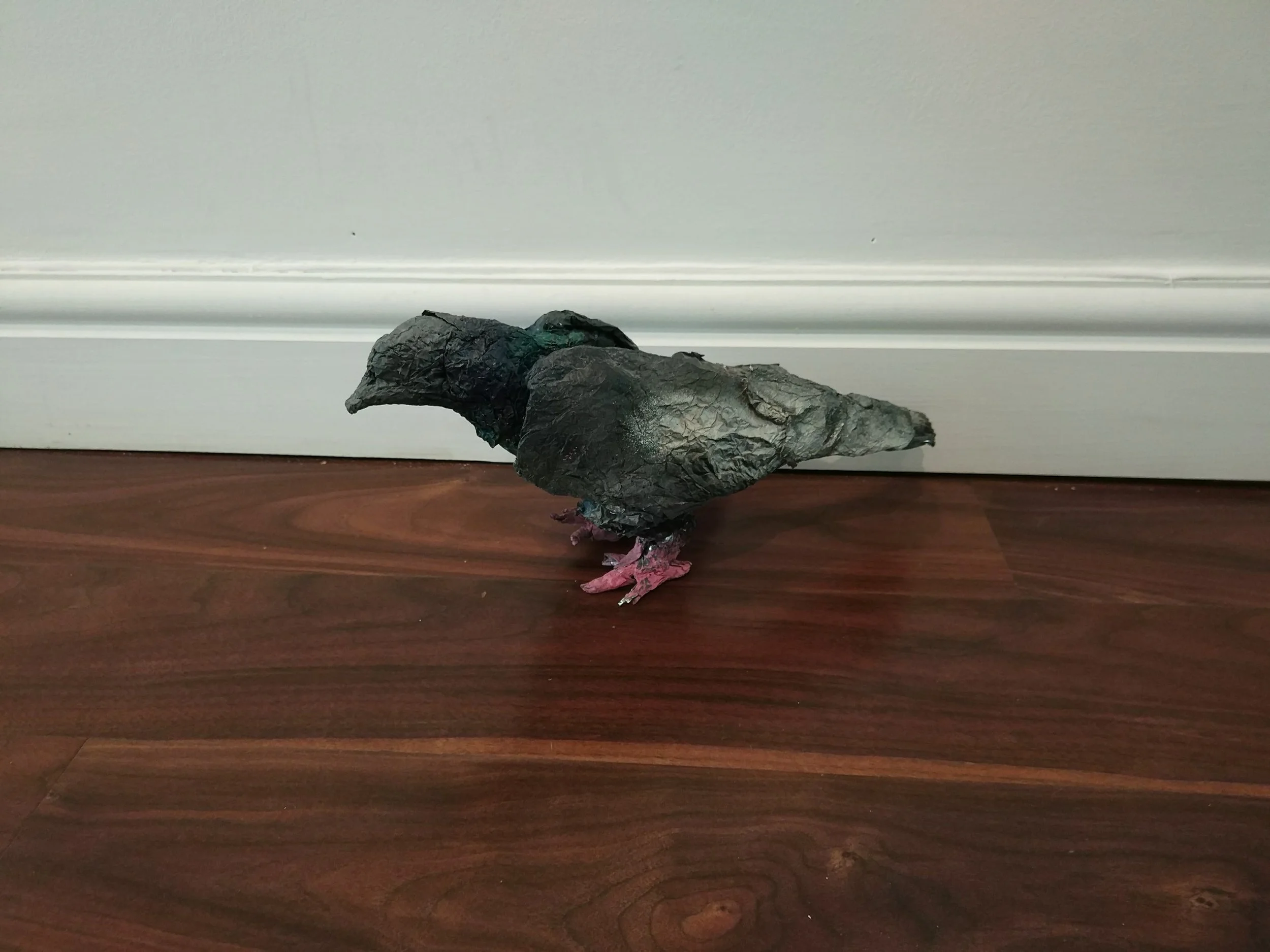 Birds. Pigeon 2.jpg