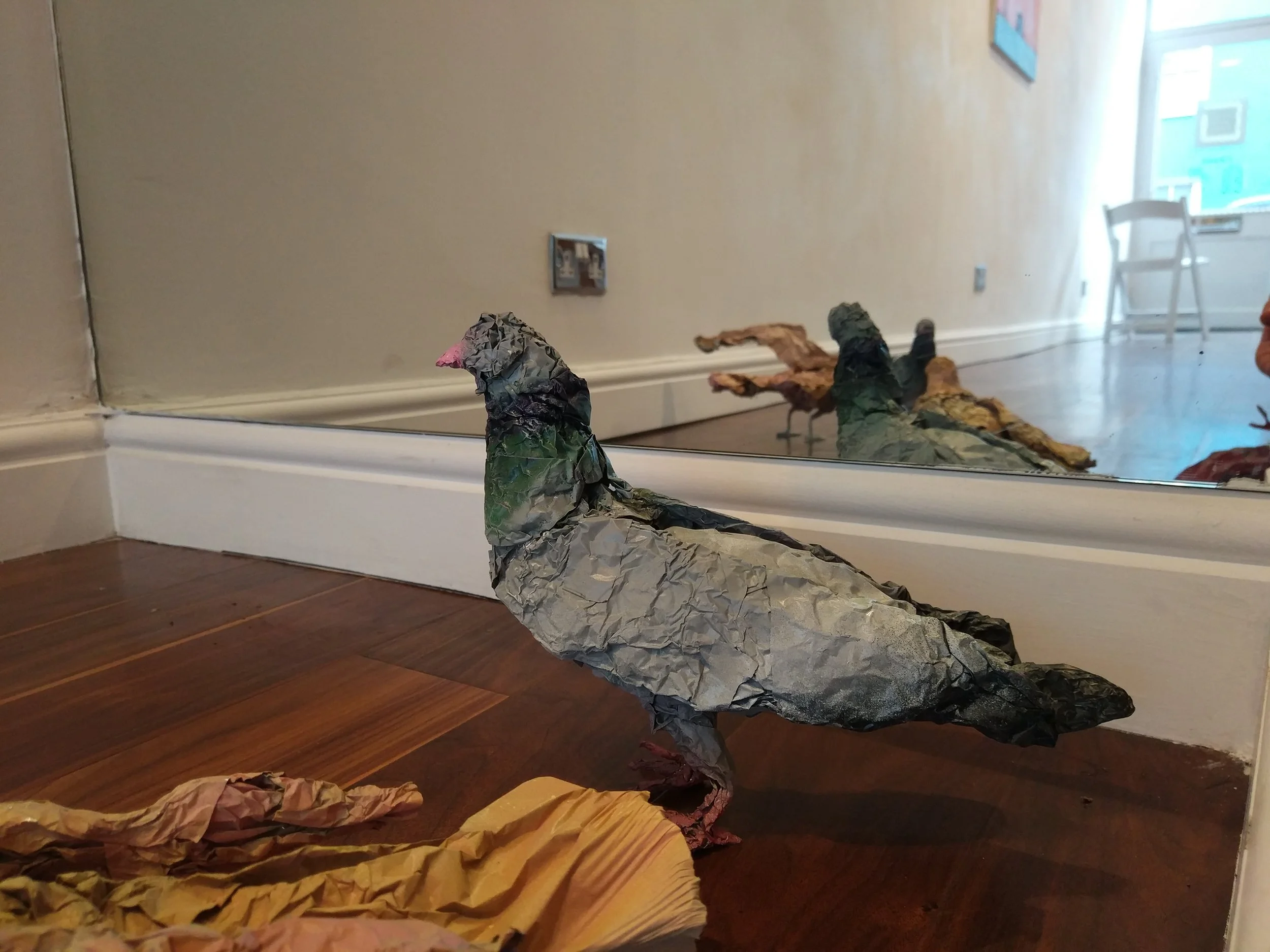 Birds. Pigeon 1.jpg