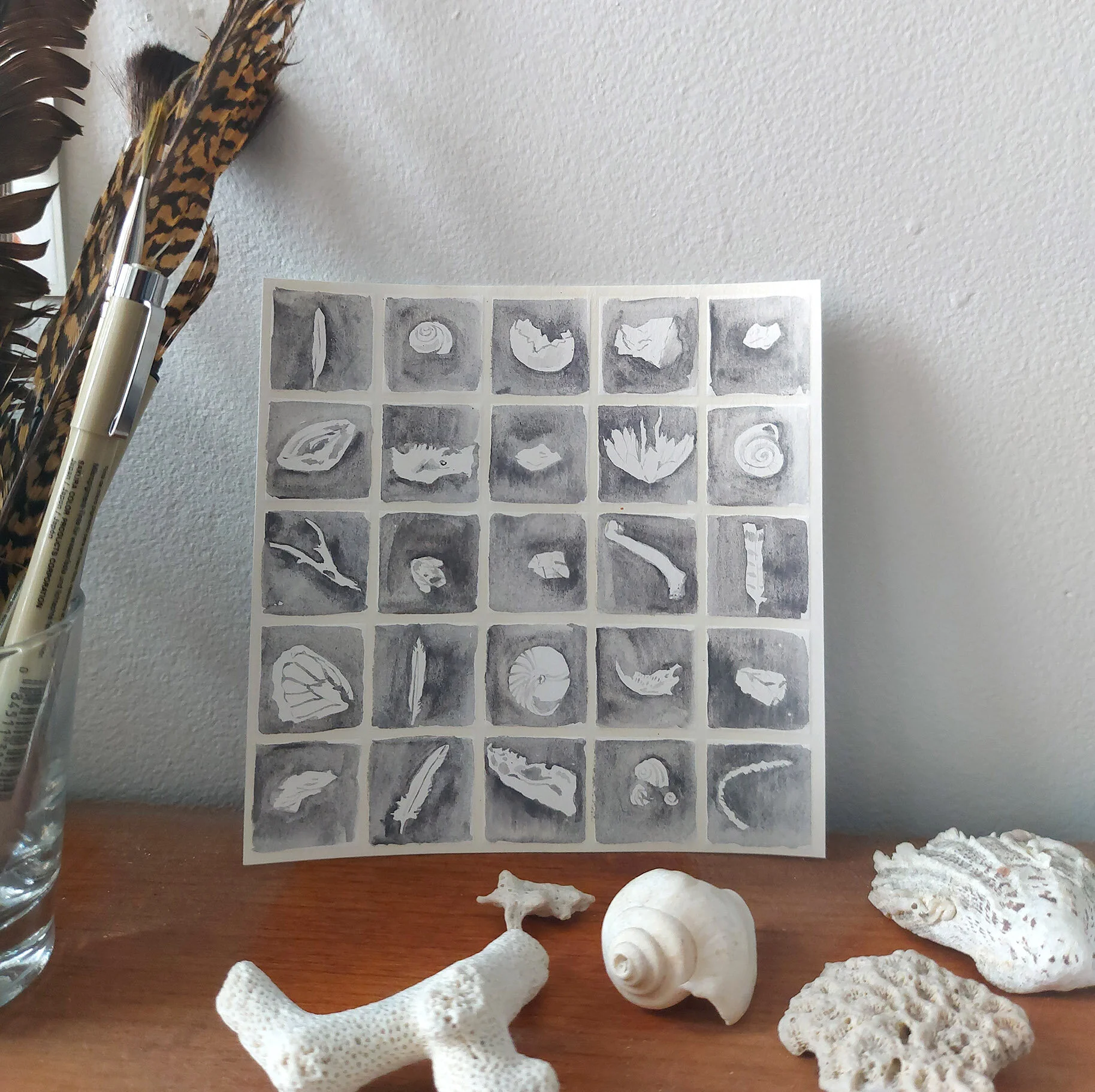 grid-collection-shells-bones-moth-found-things.jpg