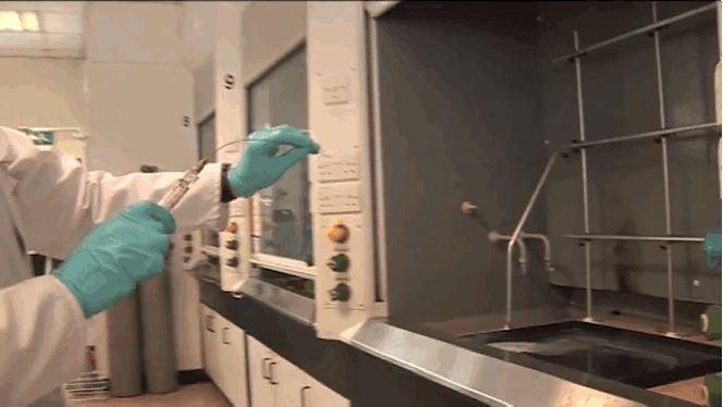 Fig 1.gif