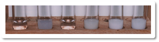 Figure 2 . Test tubes containing several alkyl halides after the addition of NaI in acetone.