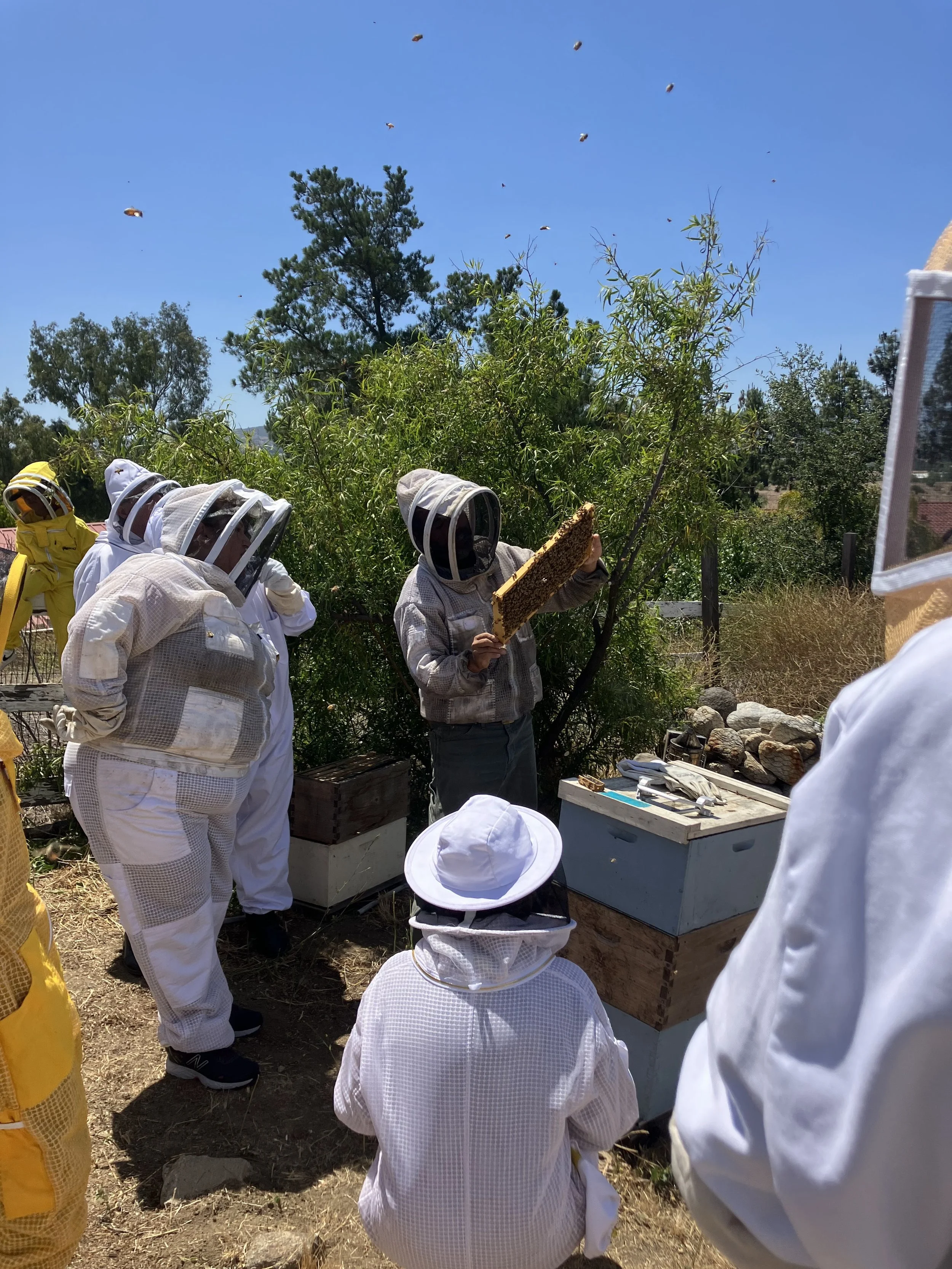 I want to be a Beekeeper Class - Free