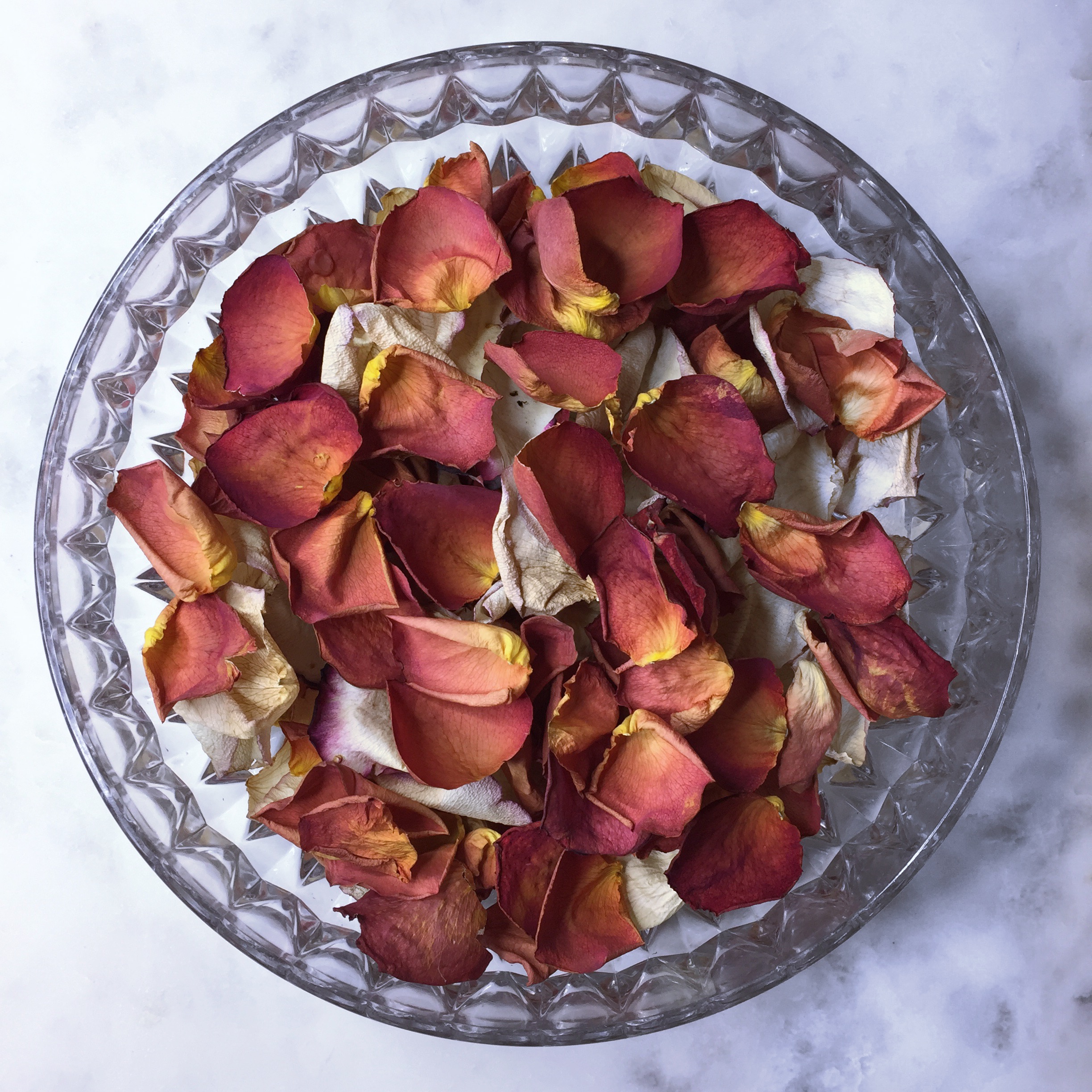 Rose Ritual Bath — ARCANE ALCHEMY