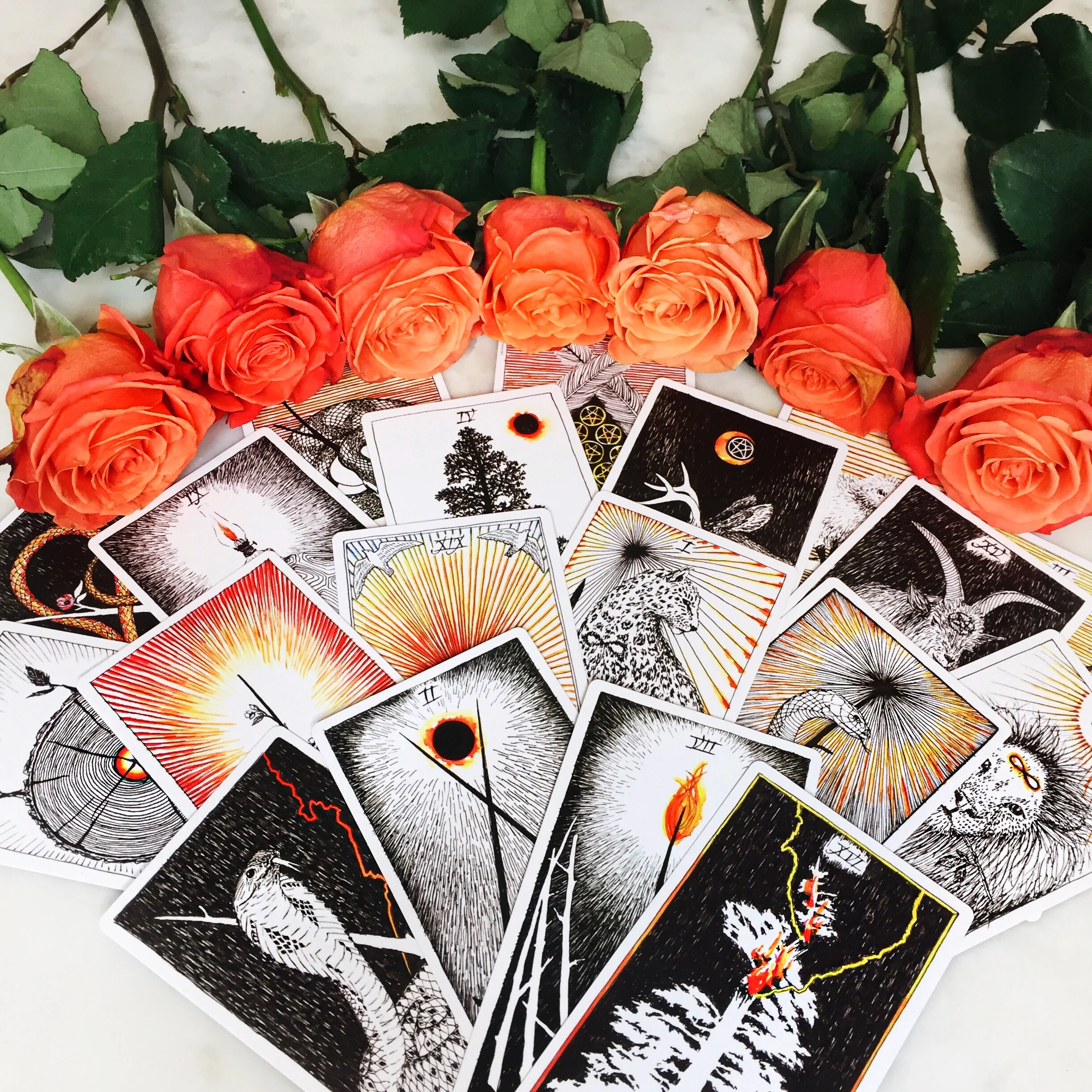 Three Months of Business Coaching