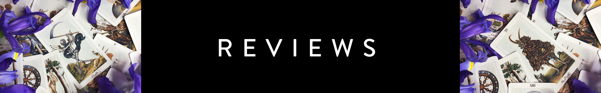 SMALL HEADER WEBSITE (1).png