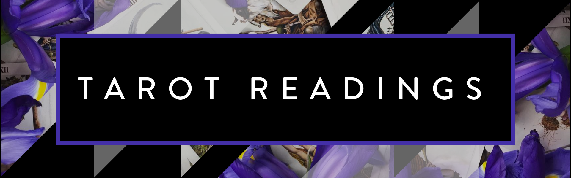 MAIN HEADERS ON WEBSITE.png