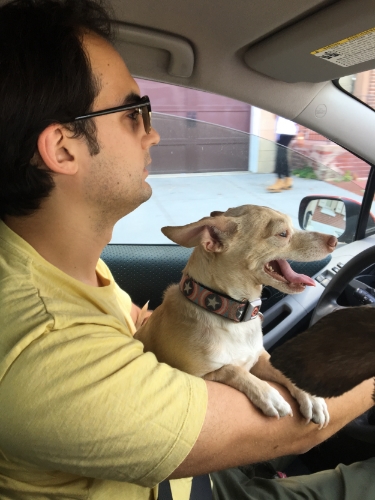 Pick Up and Drop Off Dogs and Cats for grooming at the pet snobs boutique philly philadelphia