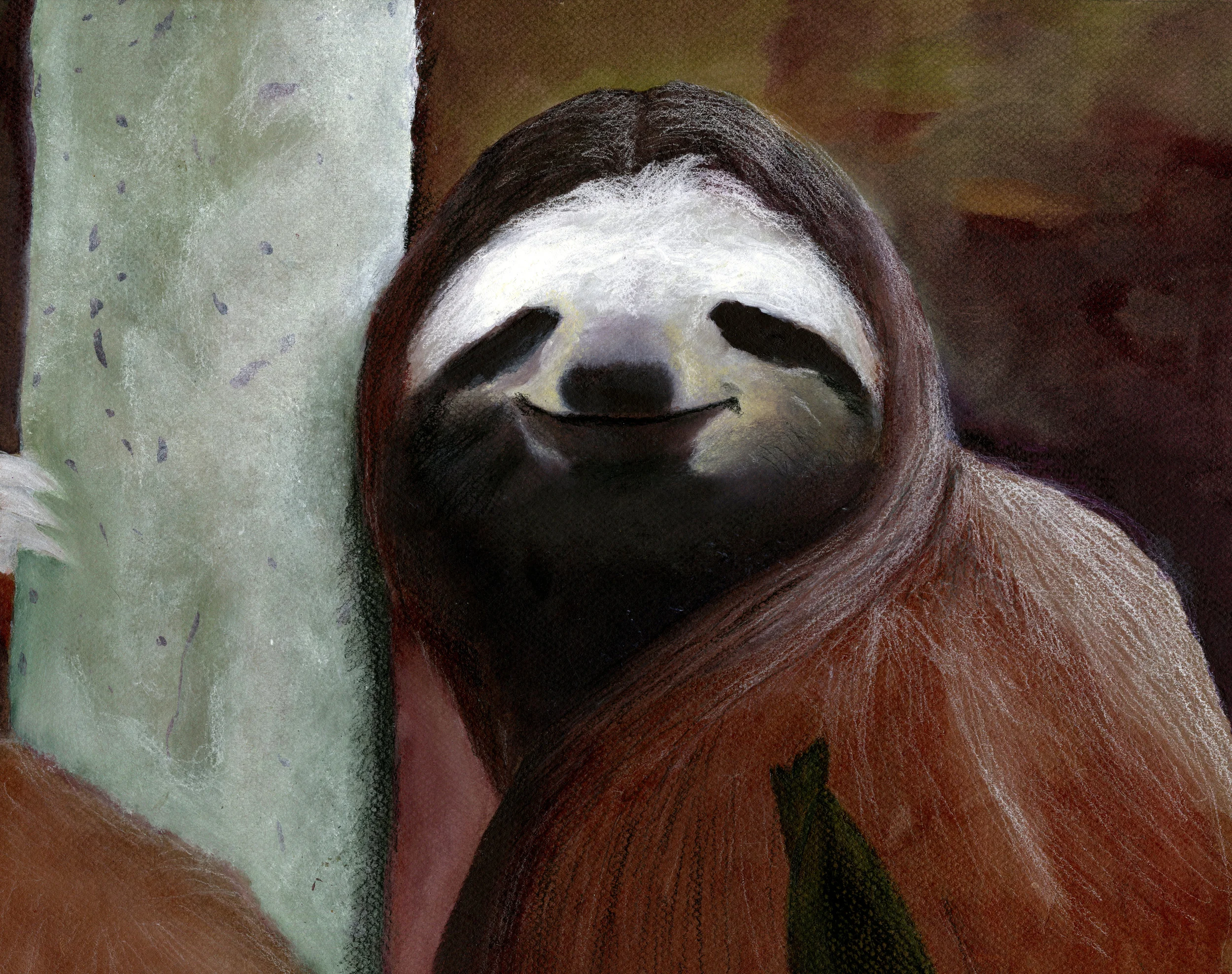 Sloth.jpg