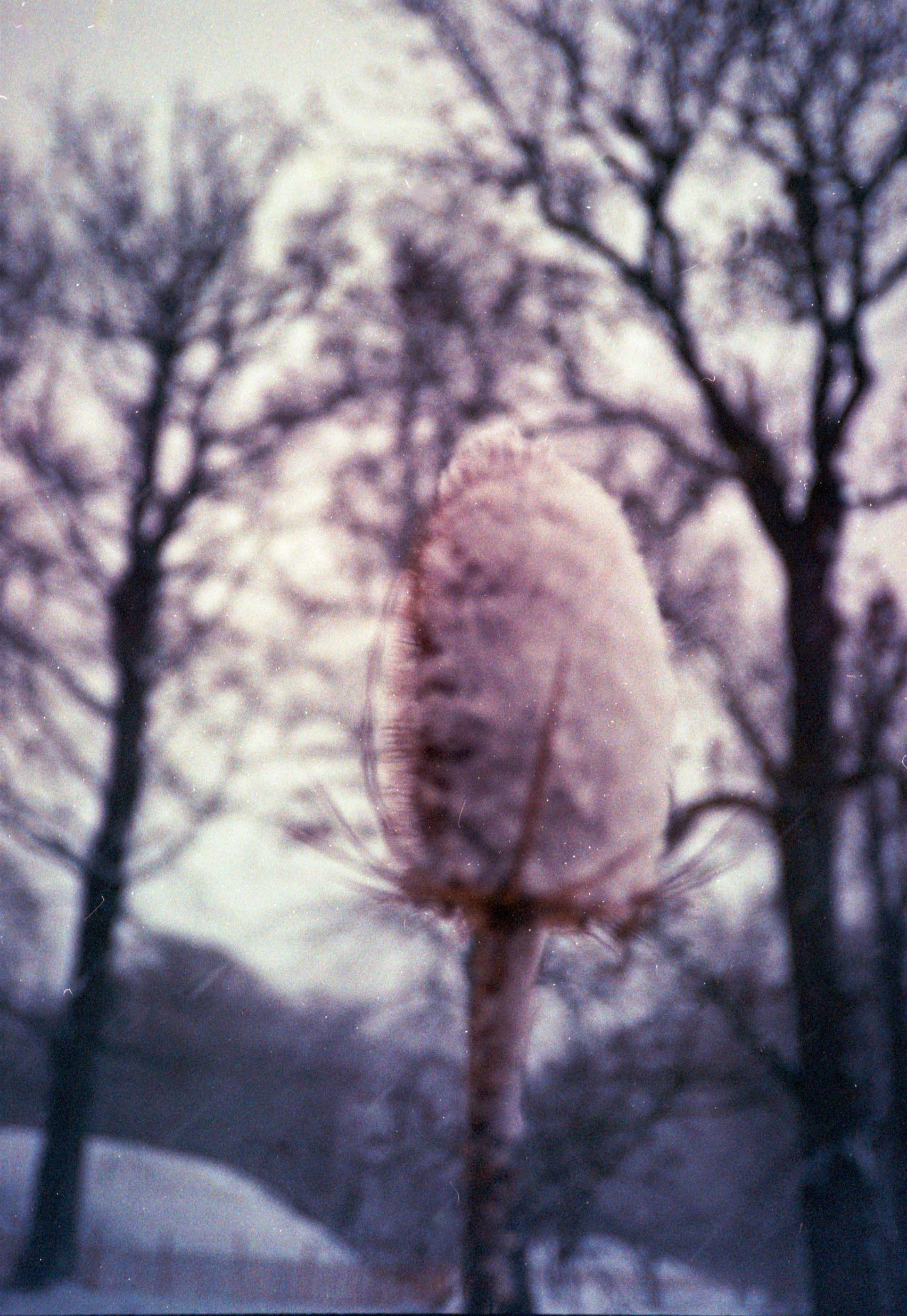 2026_0225_analog_winter.jpg