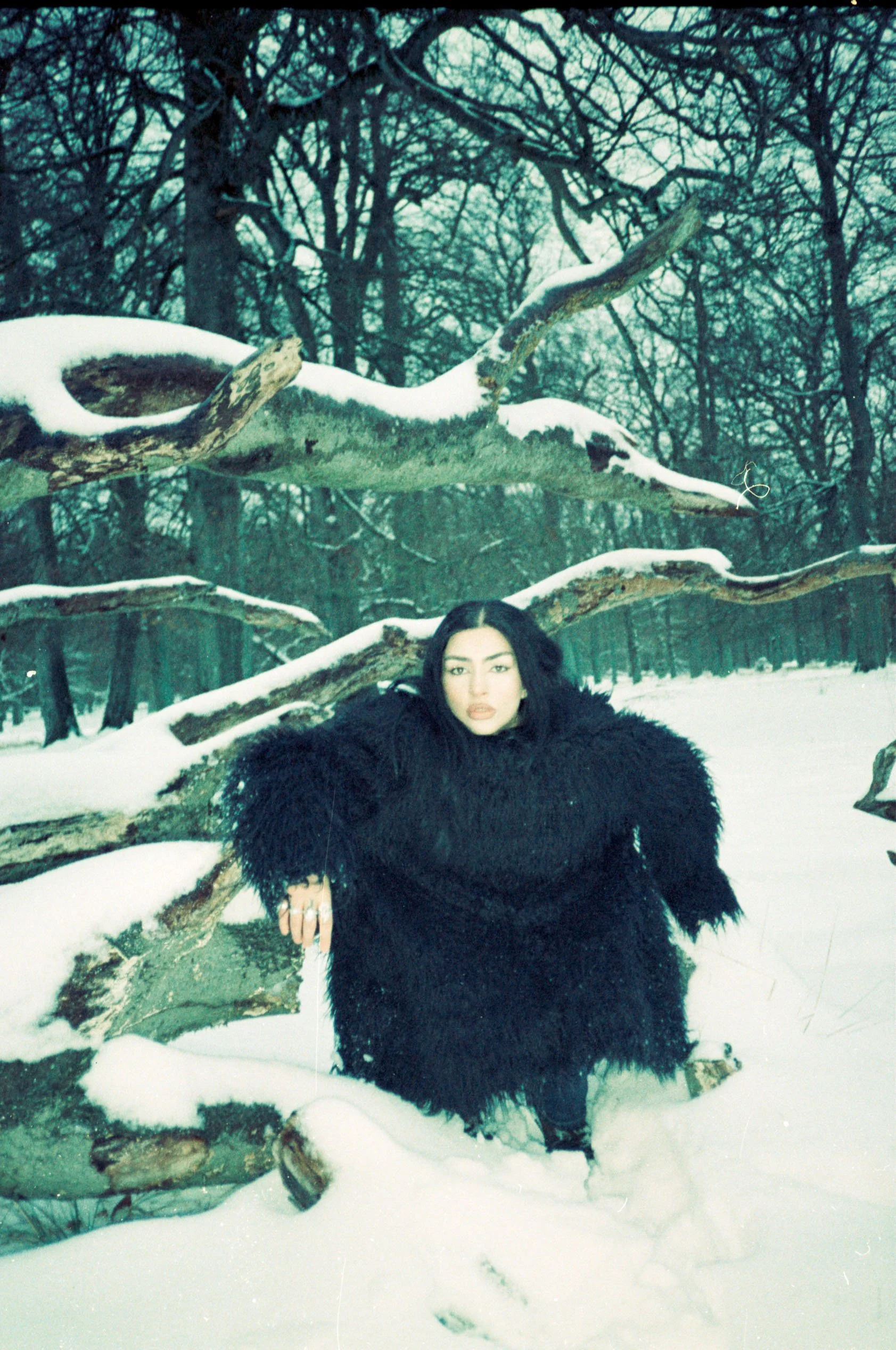 2026_0225_analog_winter-29.jpg