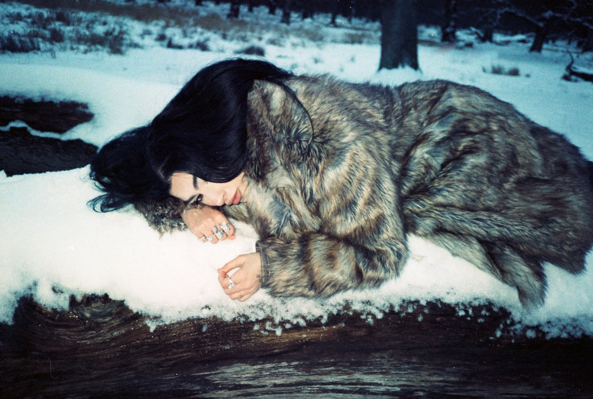 2026_0225_analog_winter-16.jpg