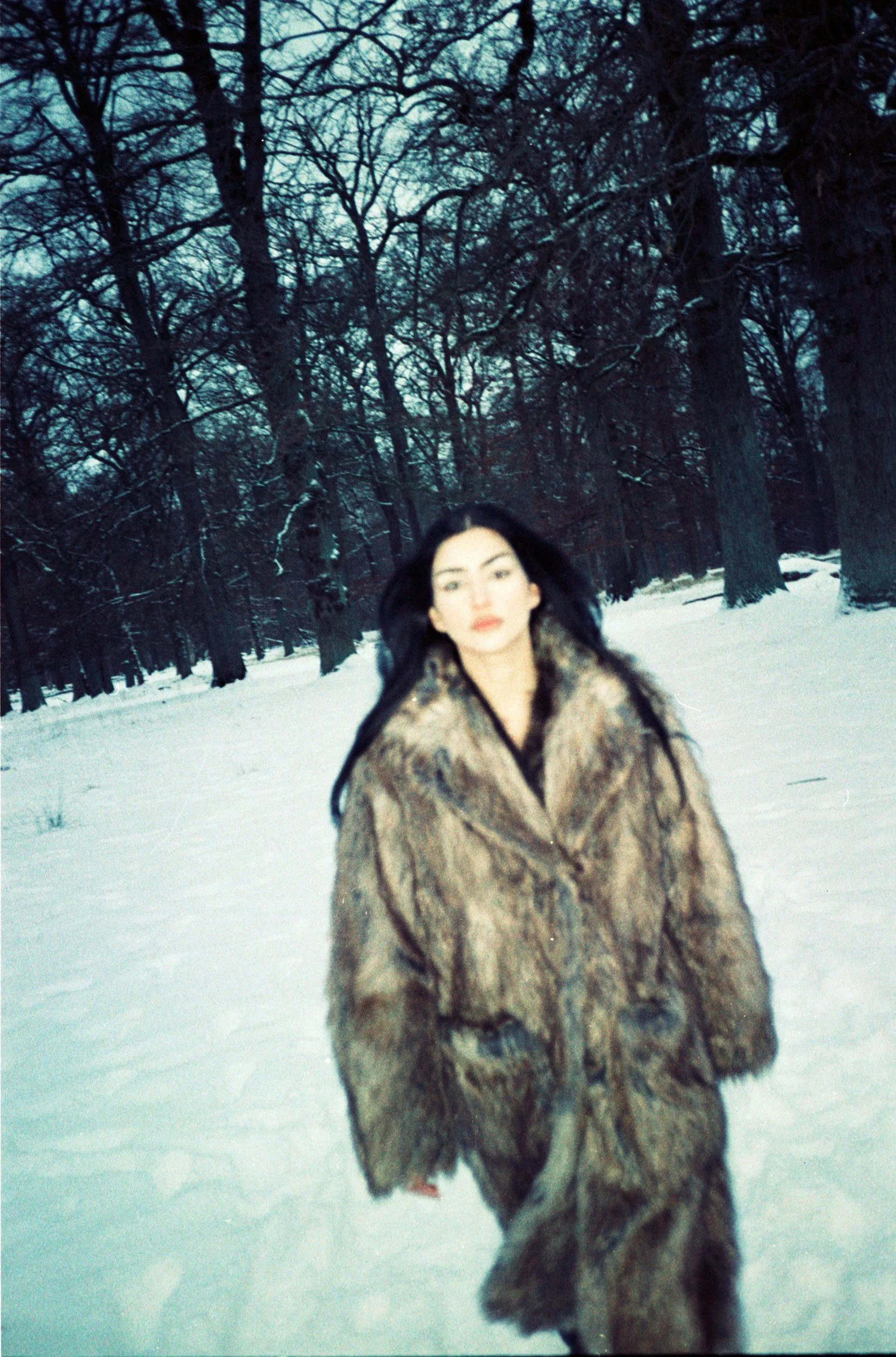 2026_0225_analog_winter-11.jpg