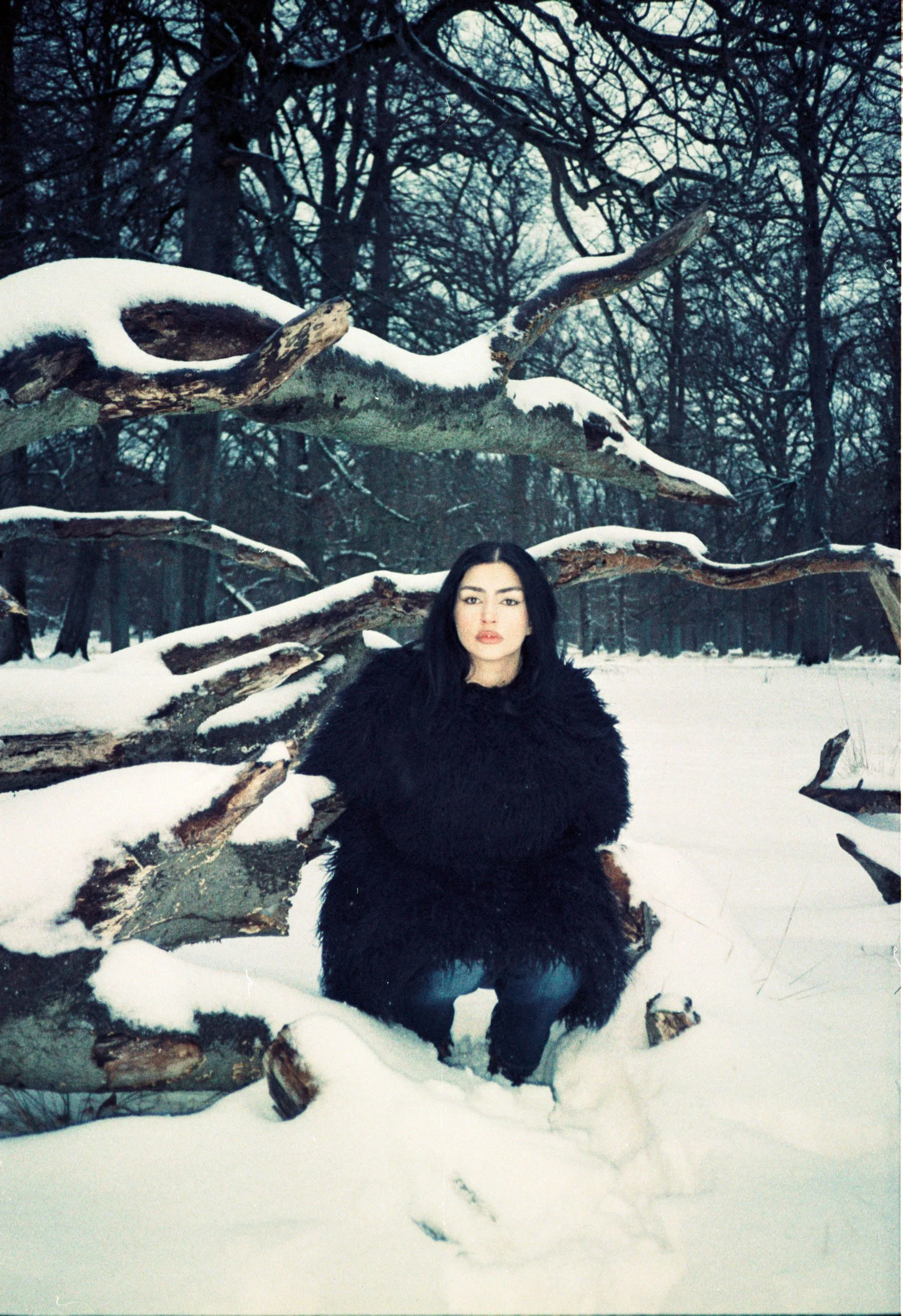 2026_0225_analog_winter-10.jpg