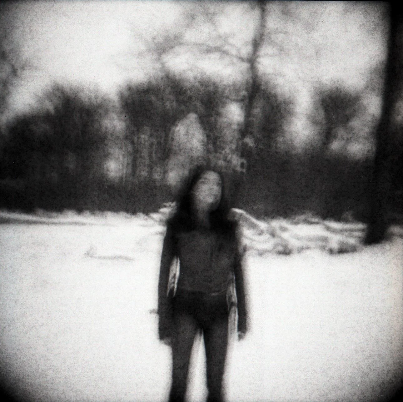 2026_0225_analog_winter_.jpg
