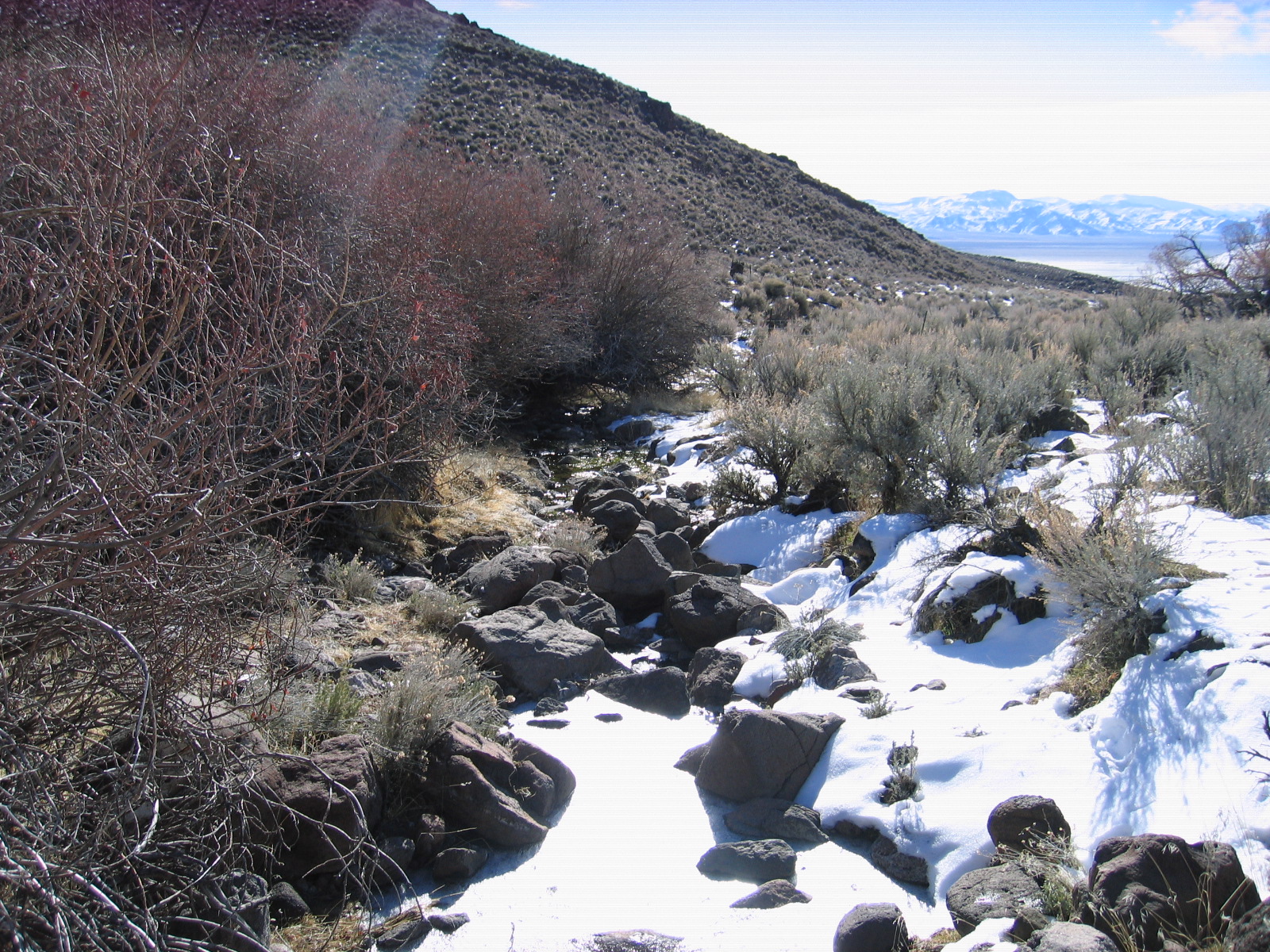 03-01-2011 Dove Creek 002.jpg