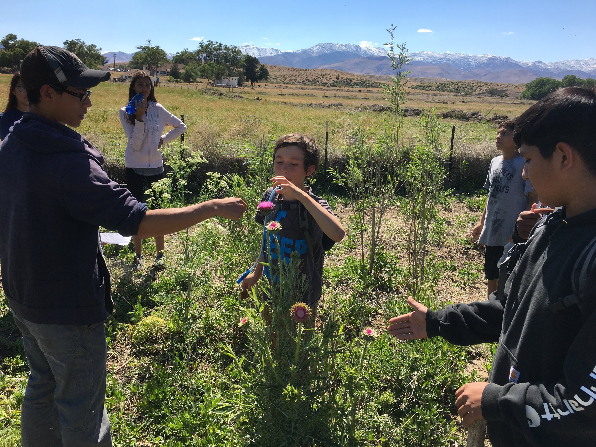Students and musk thistle (2).JPG