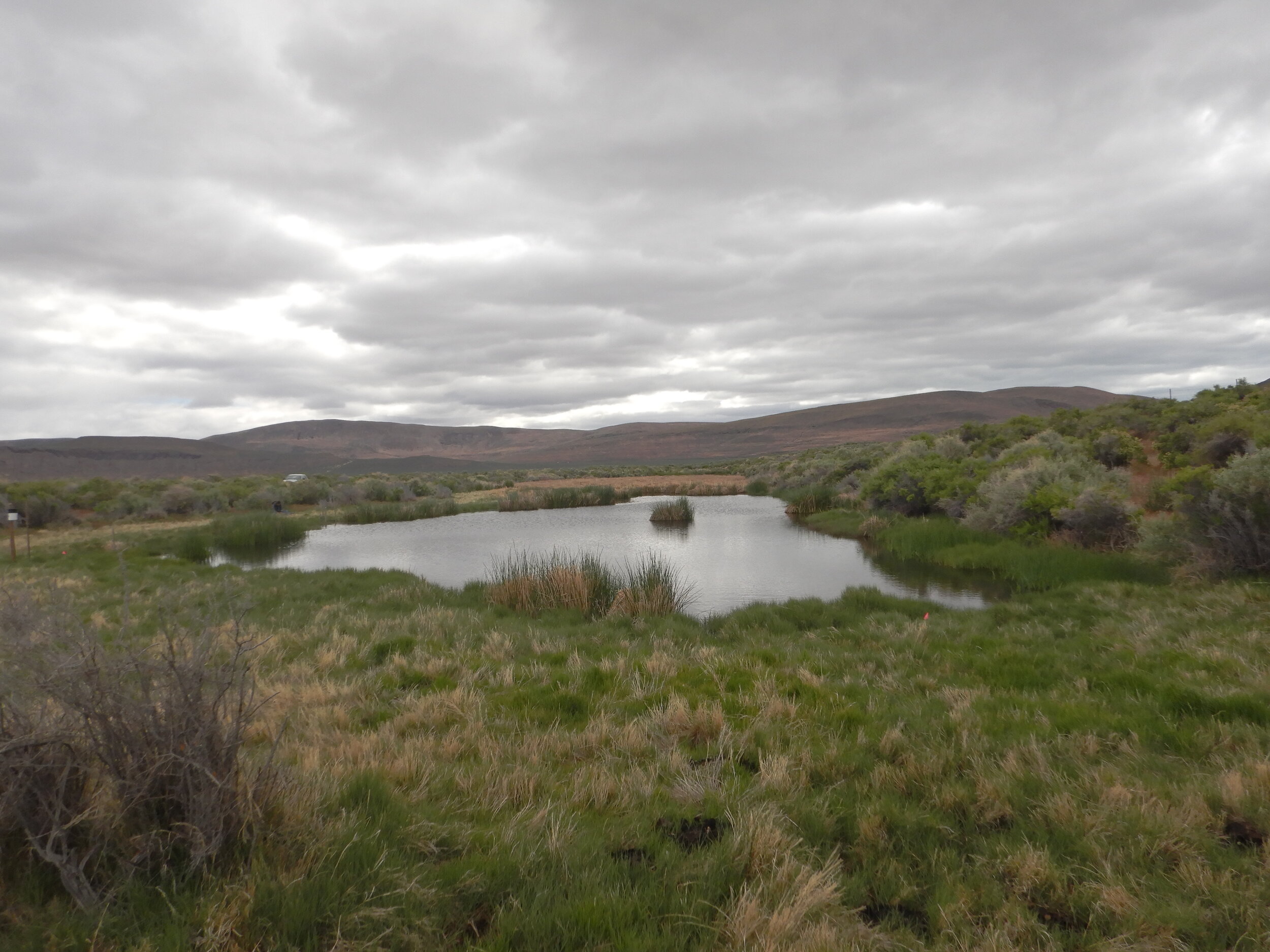 PL002_Soda Springs Wetland.JPG