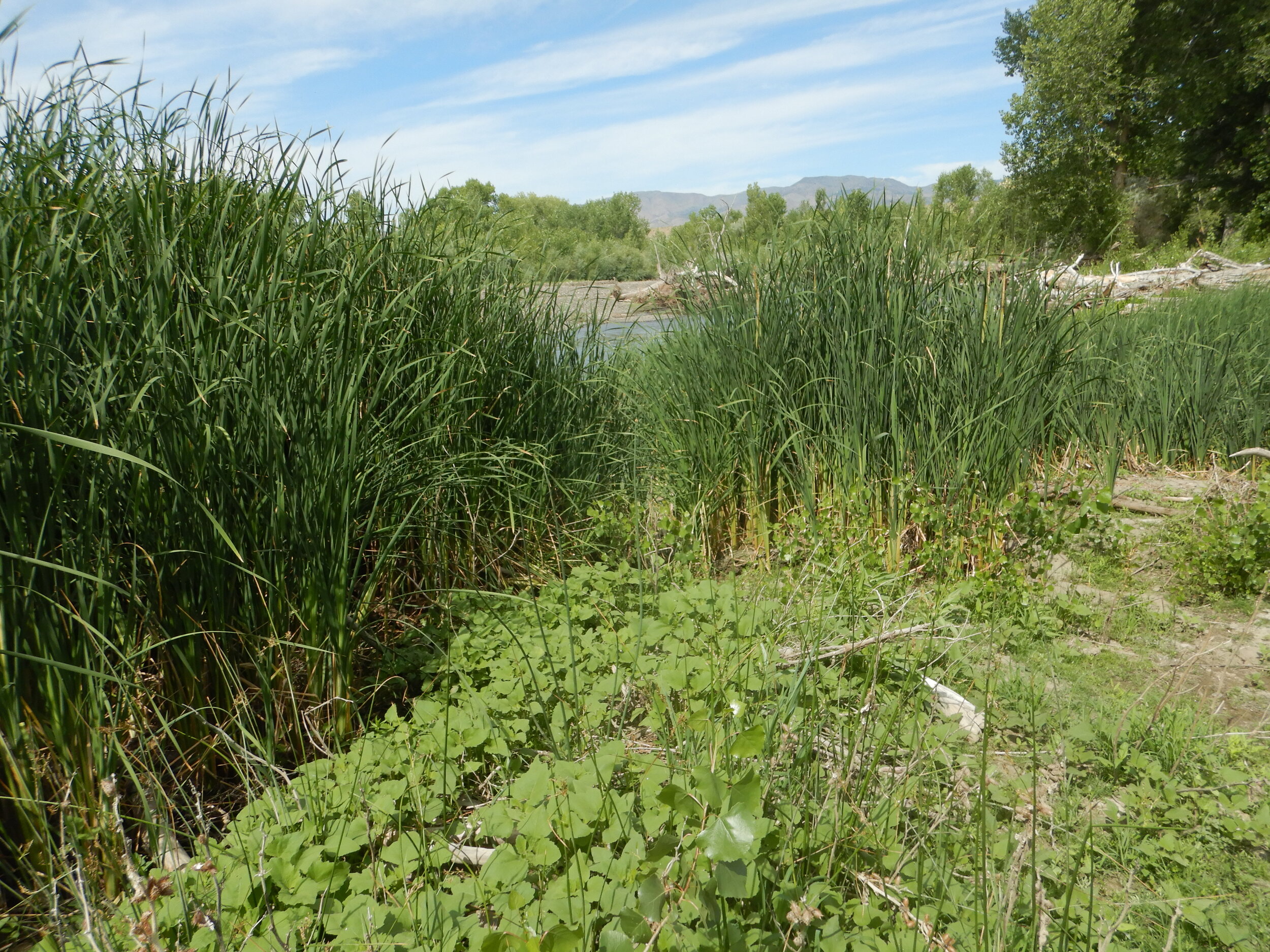 PL010_Fred John's Leopard Pond Wetland.JPG