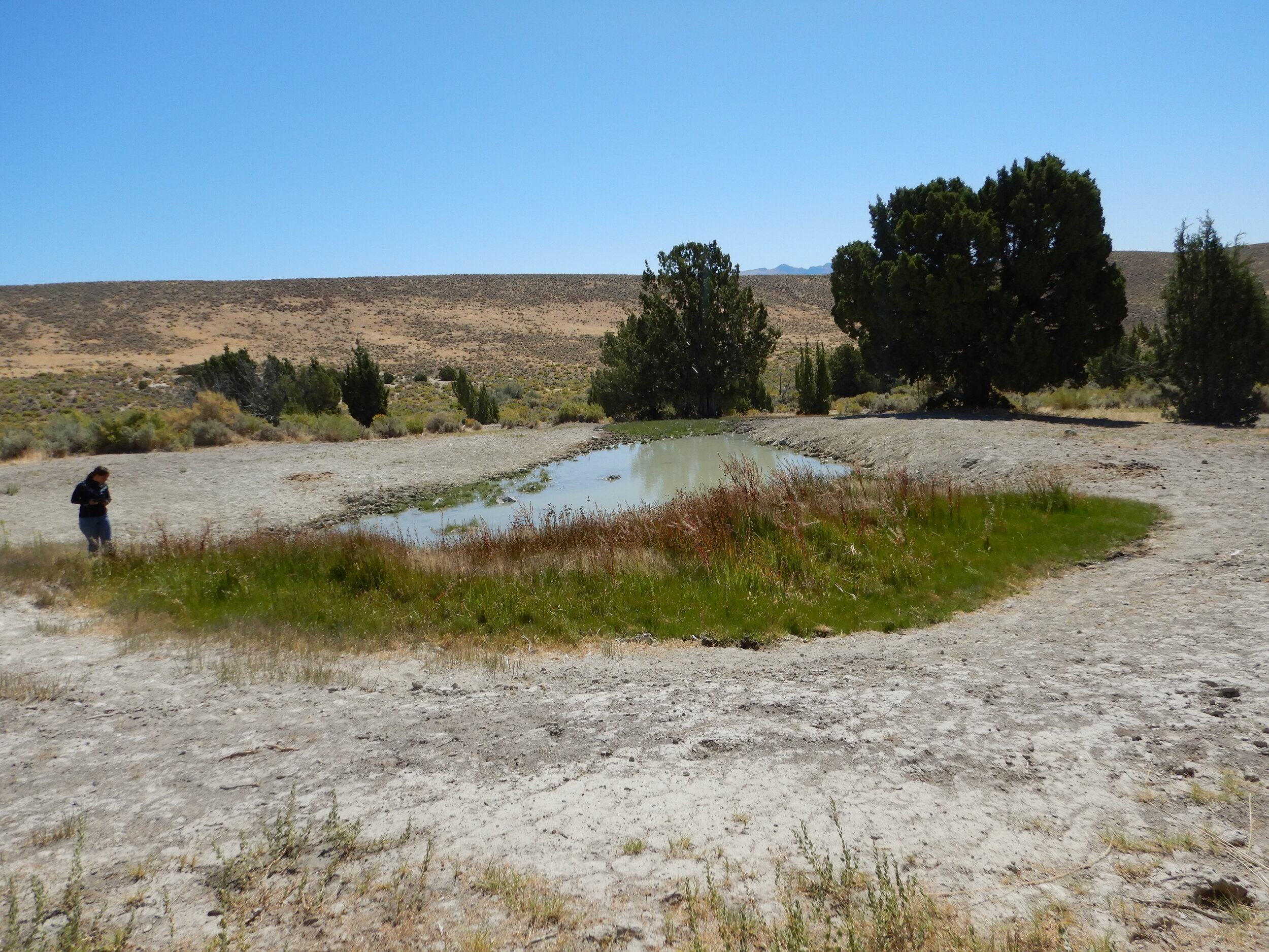 PL021_Boiling Springs West Wetland.JPG