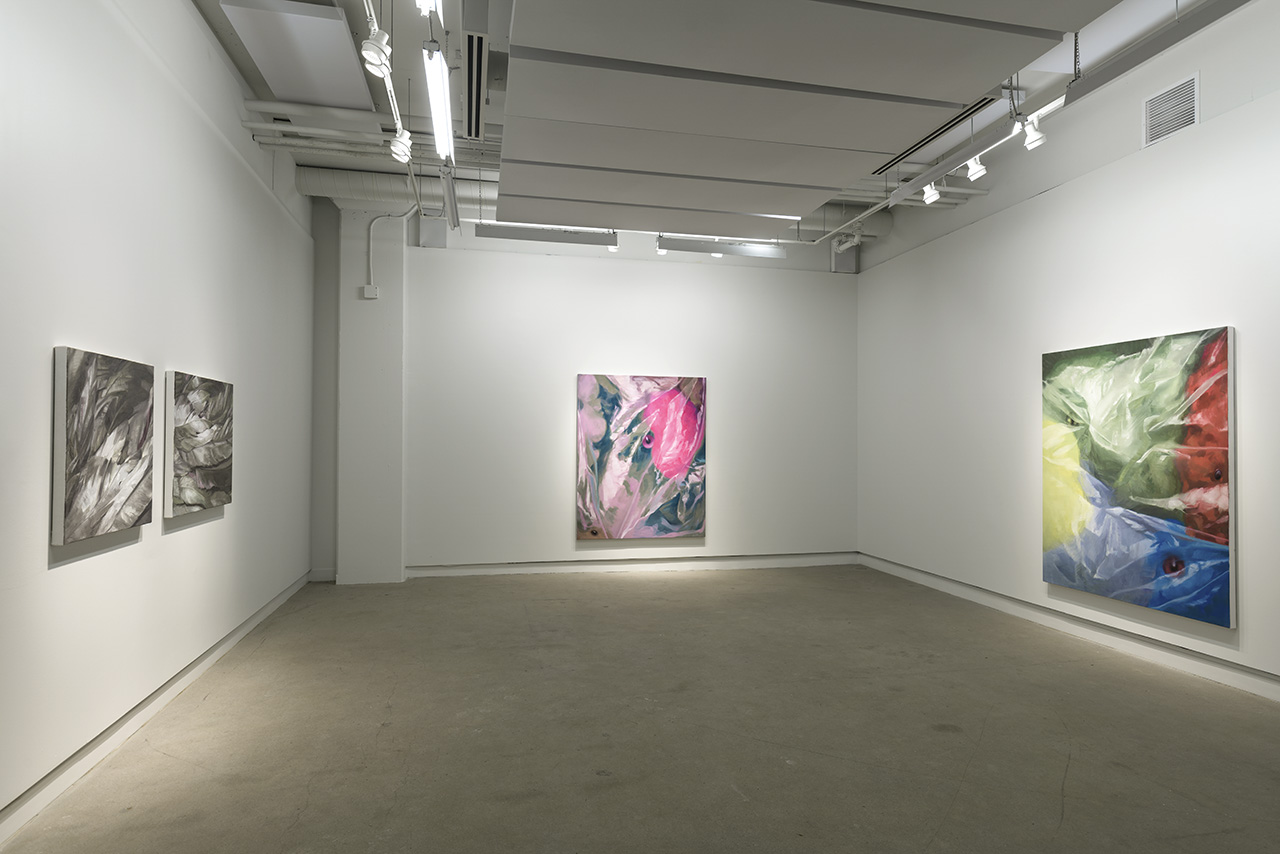 Little Deceptions , 2017 Installation view, Galerie Occurrence