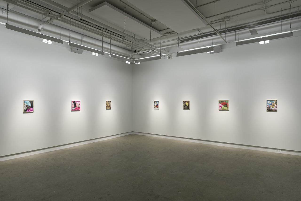 Little Deceptions , 2017 Installation view, Galerie Occurrence