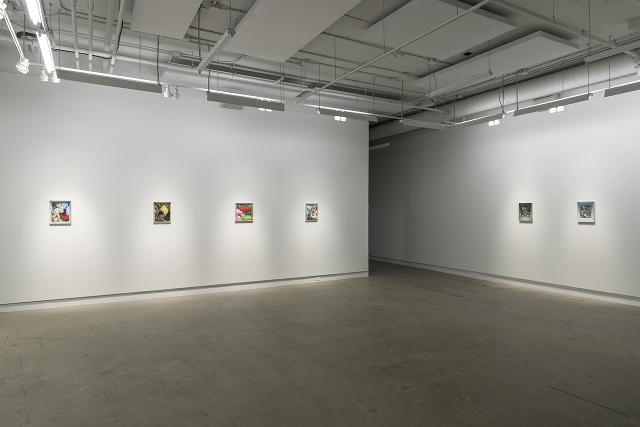 Little Deceptions , 2017 Installation view, Galerie Occurrence