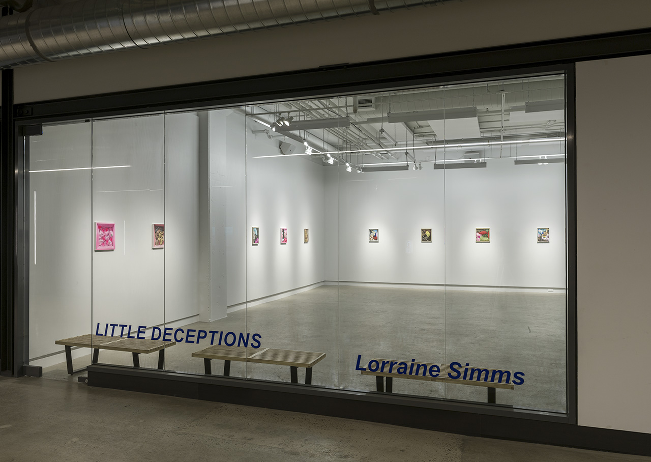 Little Deceptions , 2017 Installation view, Galerie Occurrence