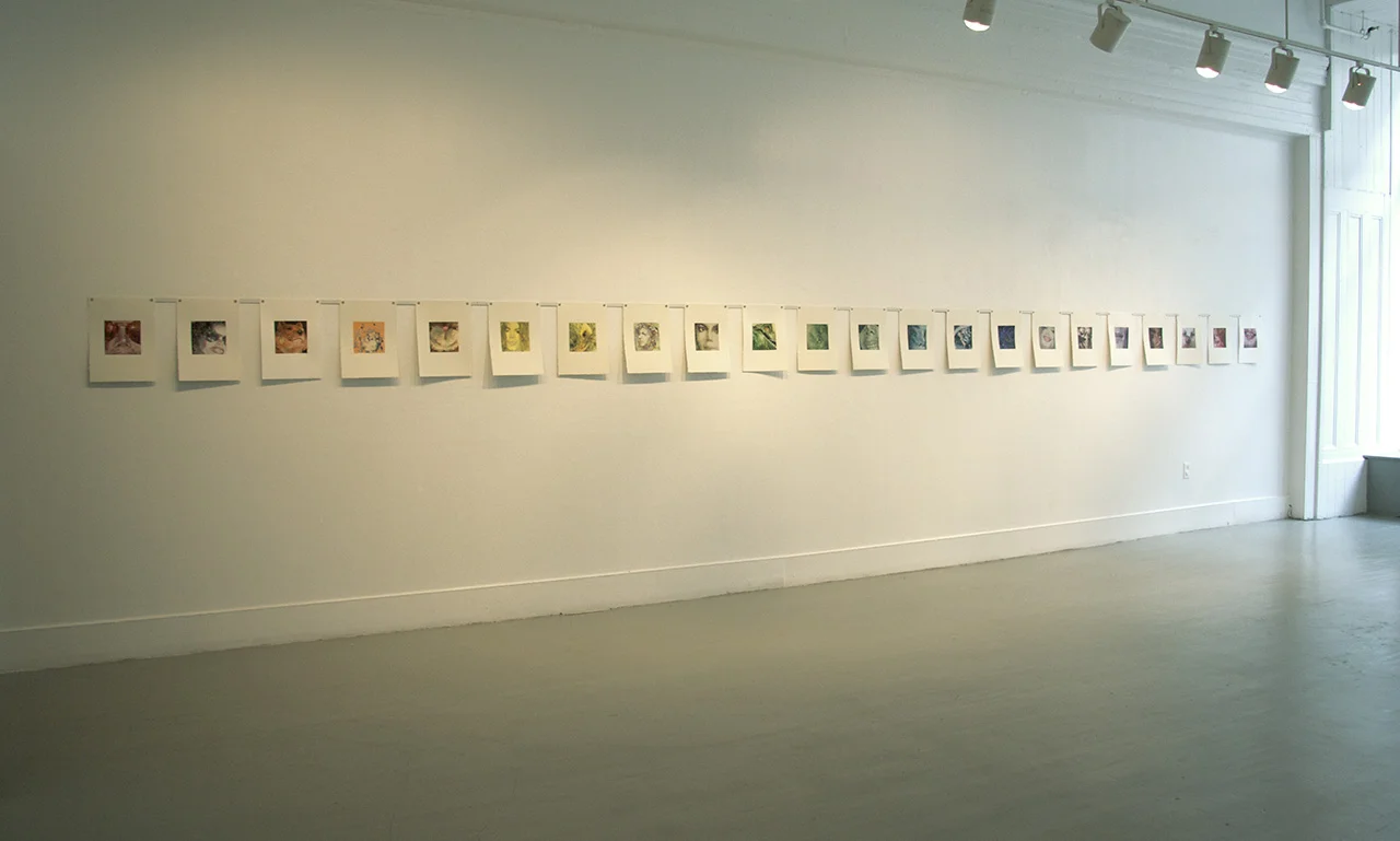 Spectral, 2010 , Installation view Anna Leonowens Gallery, Halifax, NS