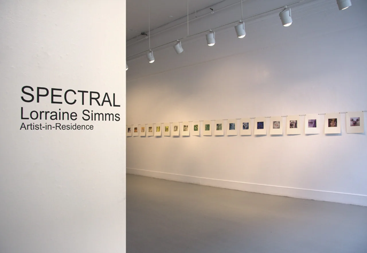 Spectral, 2010 , Installation view Anna Leonowens Gallery, Halifax, NS