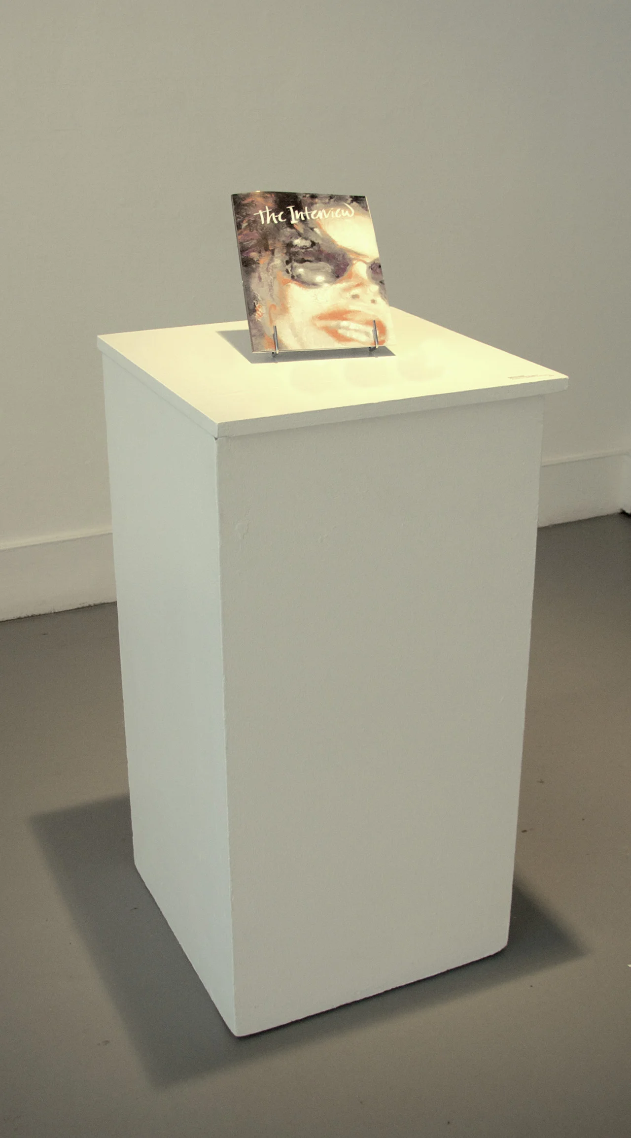The Interview , 2010 Artist Book