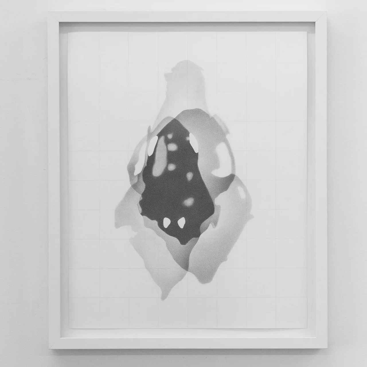 Ursus americanus 1 (Skull) , 2018 graphite on paper, 40.6 x 50.8 cm