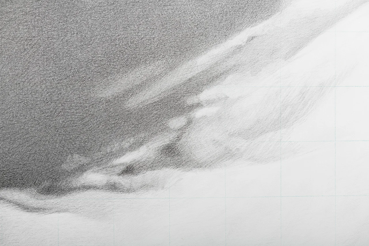 Phasianus colchicus , Detail (Taxidermy, Version 2) , 2018 graphite on paper, 124.5 x 218.5 cm