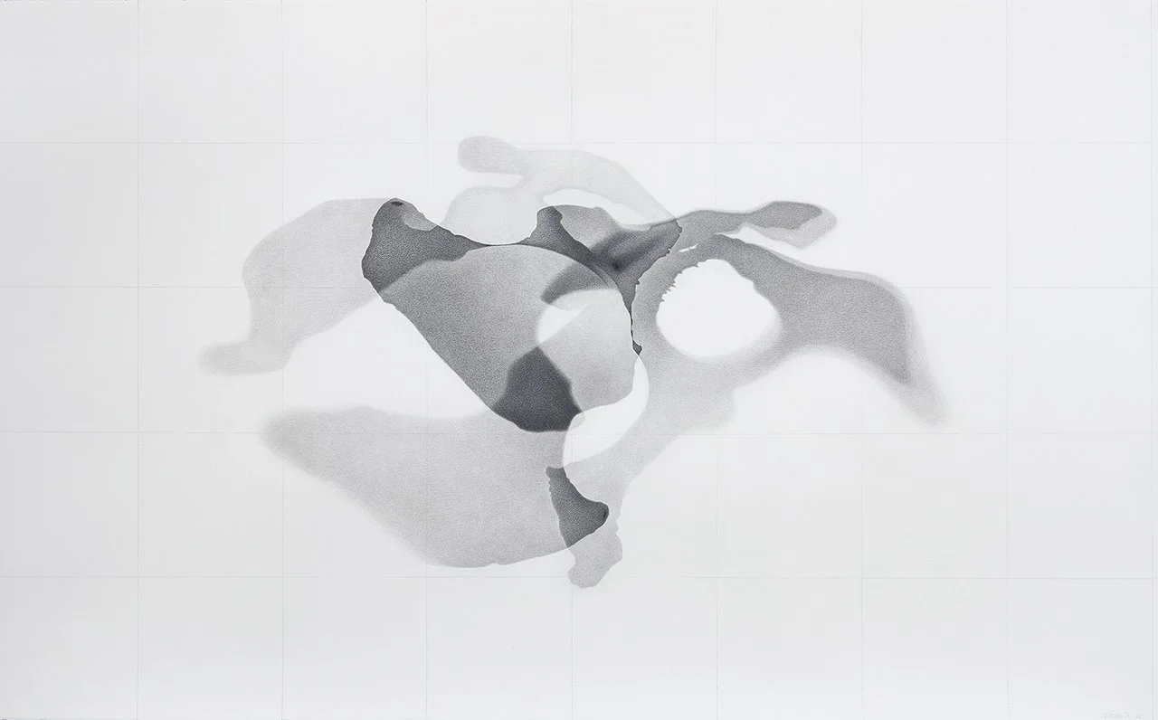   Hippo Amphibias, AMNH # 70019   (Hippo pelvis),  2021 Graphite on acid-free paper, 114 x 183 cm 