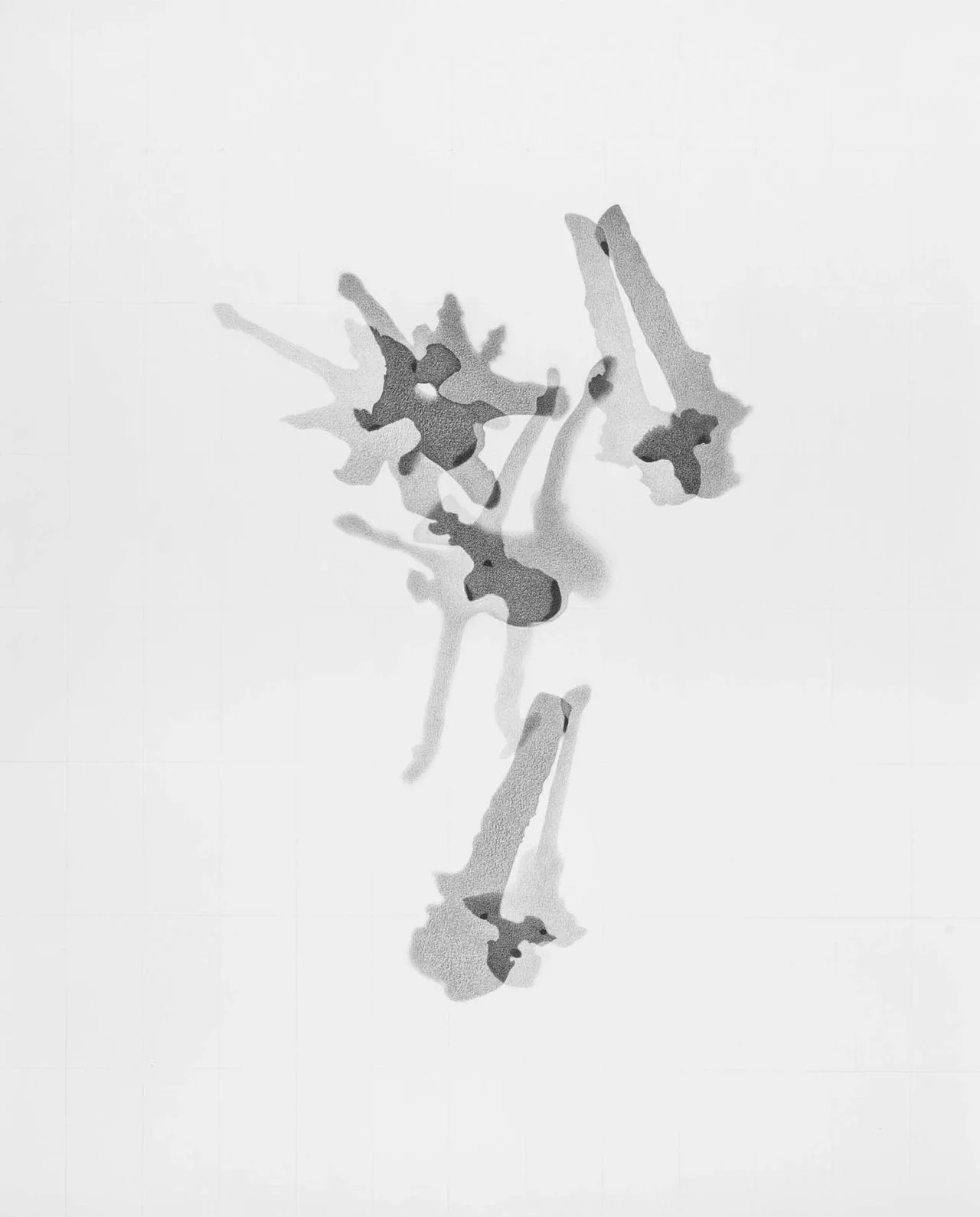   Bison bison AMNH 10206   (Bison vertebrae), 2023 Graphite on acid-free paper, 101.6 x 82.55 cm 