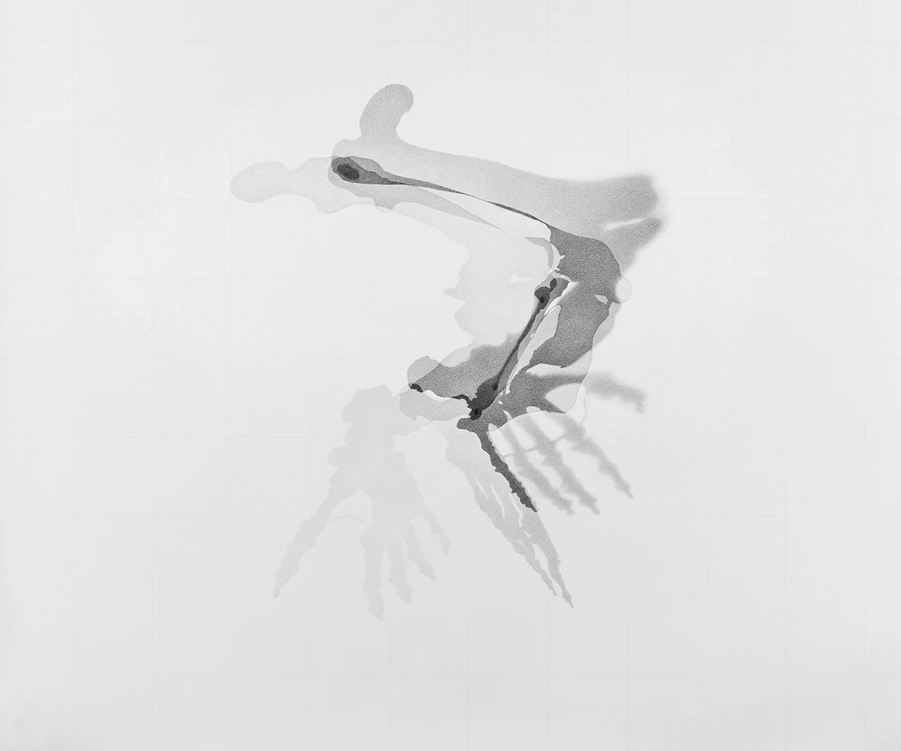   Gorilla gorilla, RM 5021  (Gorilla leg), 2024 Graphite on paper, 102 x 117 cm / 40” x 46” 