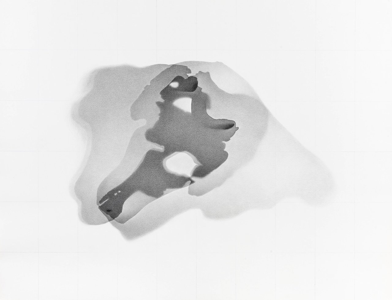   Monodon monoceros, AMNH # 63987   (Narwhal skull), 2022 Graphite on acid-free paper, 97.45 x 127 cm 