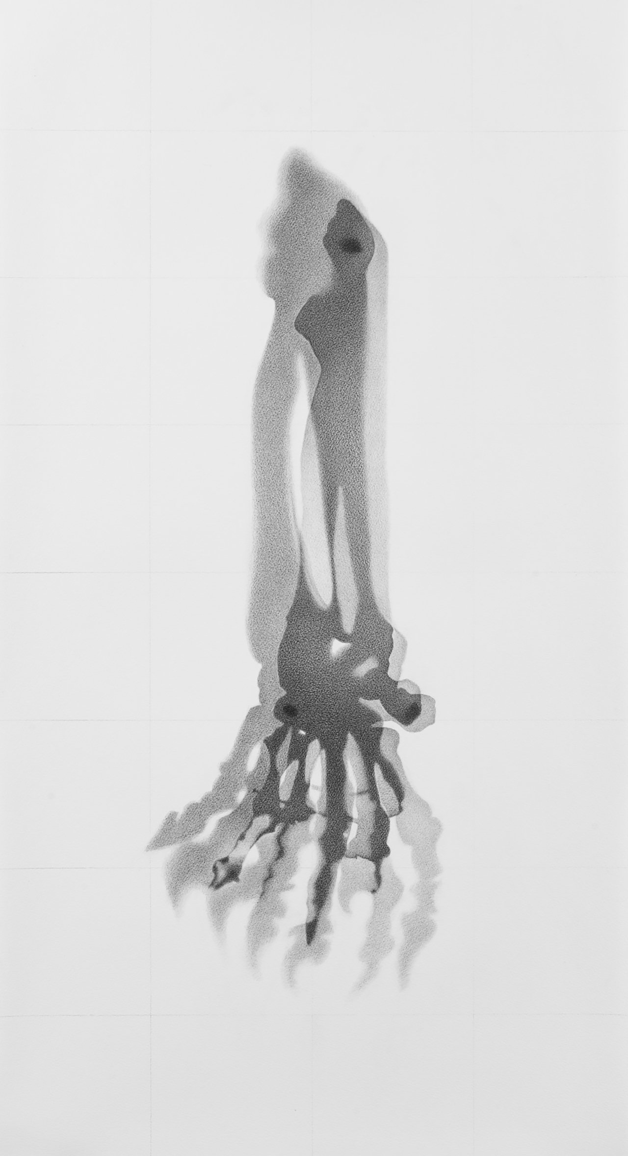 lorraine_simms_ursus_maritimus_hand.jpg