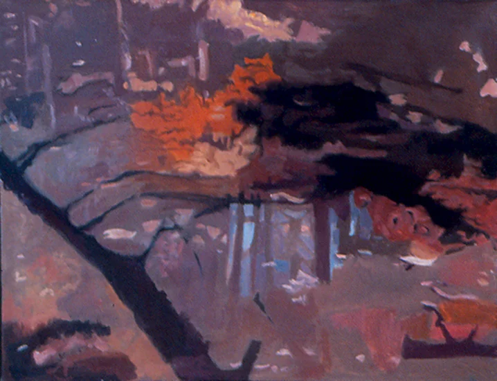 Shadow of a Tree , 1994, Oil on Linen, 14"x18"