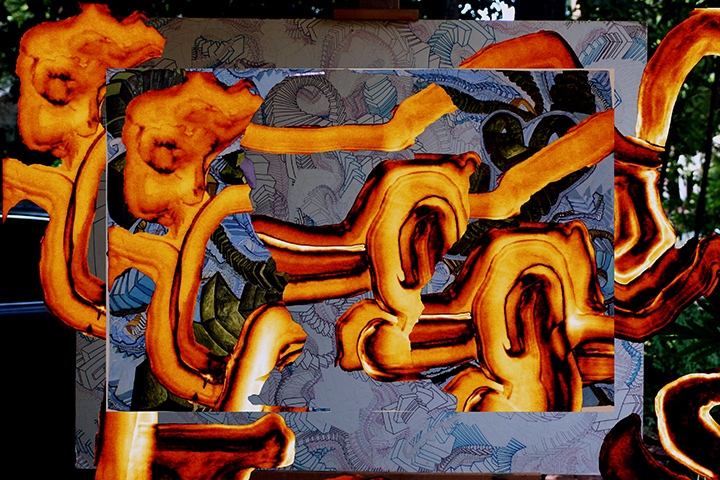 Deja Vu ,2015, UV ink and acrylic on canvas, 48" x 72"