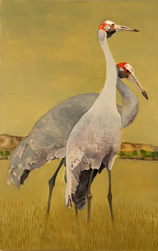 Judith Vivell