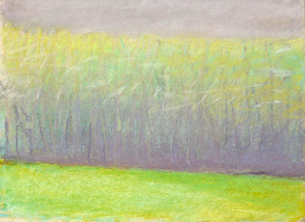 May Tree Line (SOLD), 1993, Pastel, 9" x 12" Treescape with light green foreground, green and gray trees and gray sky