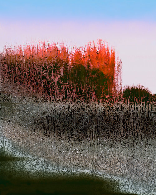 Evening (edition 4 of 10), 2016 , Chemigram, 29.5” x 25.5”(Framed) 20” x 16” (Wo/Frame). Abstract landscape photographic print of green grass and thin gray tree branches, red flowers on the horizon with blue and pink sky.